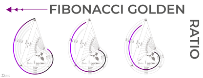 Exlicon L - TG Tool -Precision Golden Ratio Stencil for Art and Geometry